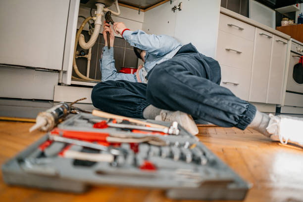 Best Same-Day Plumbing Service  in New Chicago, IN
