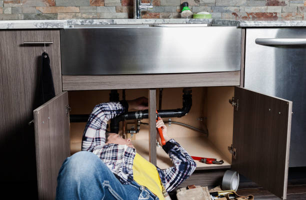 Best Local Plumber Services  in New Chicago, IN